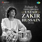 Tribute to Tabla Maestro Ustad Zakir Hussain - Nitin Arora Song Download